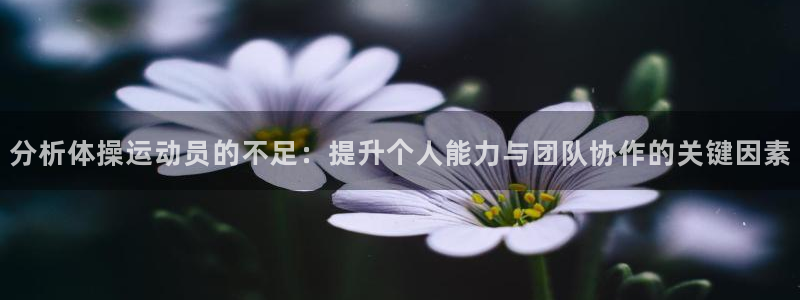 火爆体育下载：分析体操运动员的不足：提升个人能力与团队协作的关键因素