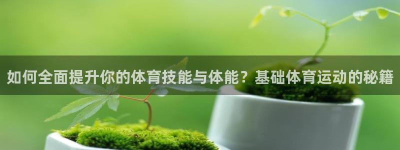 火爆体育APP下载：如何全面提升你的体育技能与体能？基础体育运动的秘籍