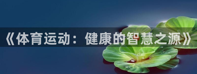 火爆体育赛事：《体育运动：健康的智慧之源》