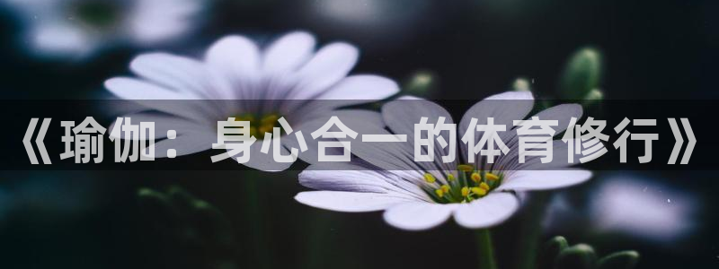 火爆体育下载：《瑜伽：身心合一的体育修行》