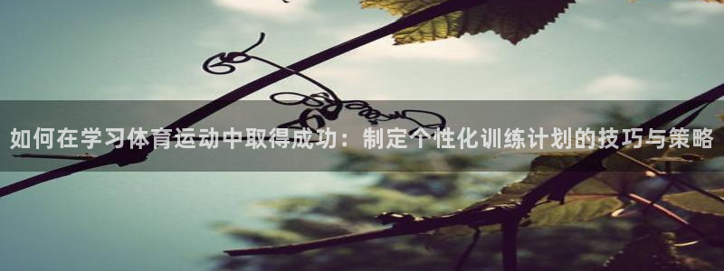 火爆体育背后故事：如何在学习体育运动中取得成功：制定个性化训练计划的技巧与策略