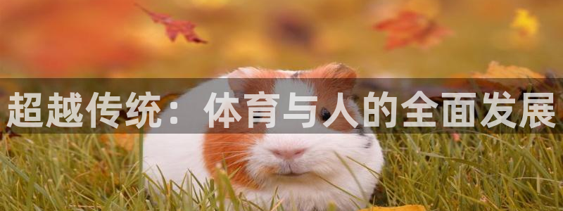 火爆体育赛事：超越传统：体育与人的全面发展