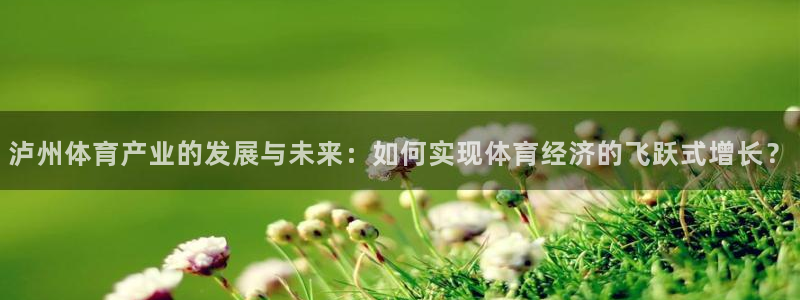 火爆体育下载：泸州体育产业的发展与未来：如何实现体育经济的飞跃式增长？