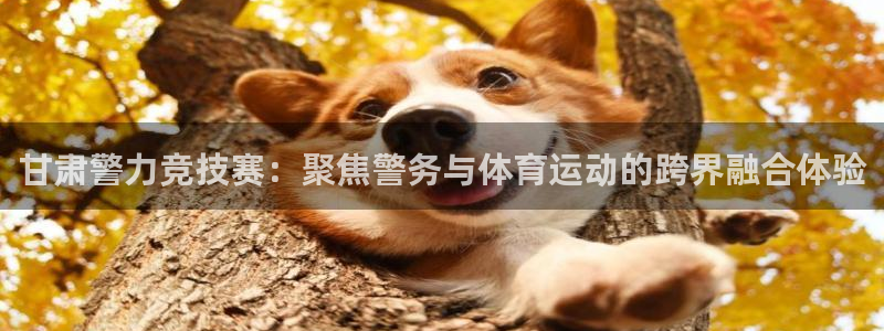 火爆体育在线直播：甘肃警力竞技赛：聚焦警务与体育运动的跨界融合体验