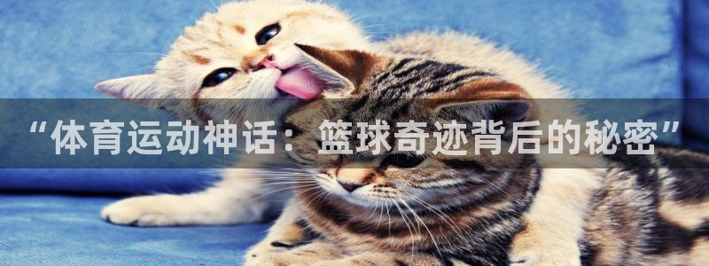 火爆体育：“体育运动神话：篮球奇迹背后的秘密”