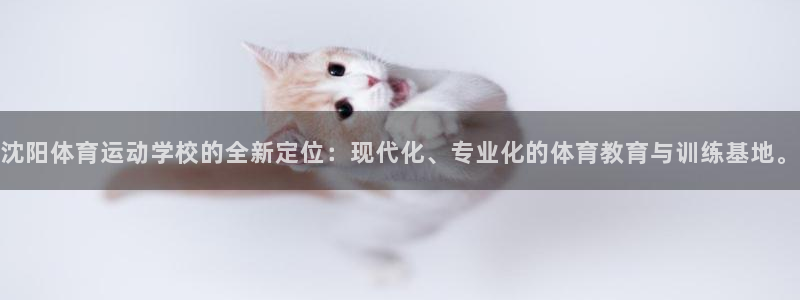 火爆体育背后故事：沈阳体育运动学校的全新定位：现代化、专业化的体育教育与训练基地。